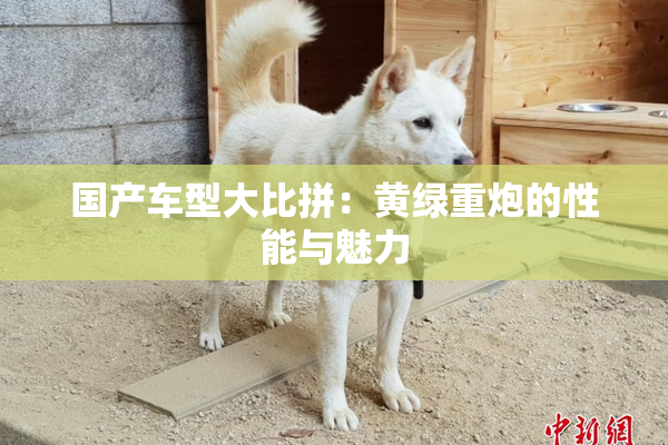 国产车型大比拼：黄绿重炮的性能与魅力