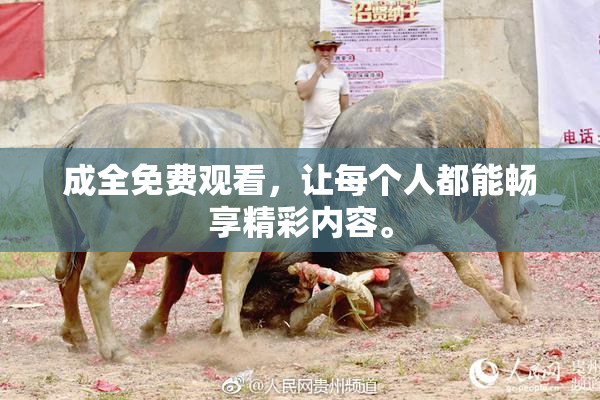 成全免费观看，让每个人都能畅享精彩内容。