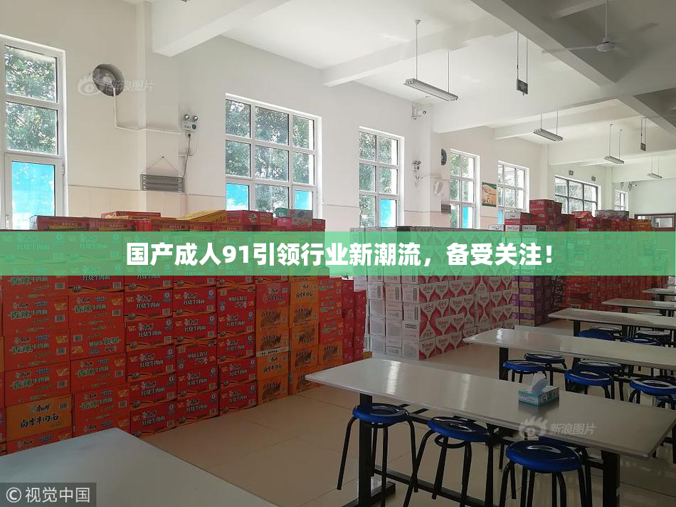 国产成人91引领行业新潮流，备受关注！