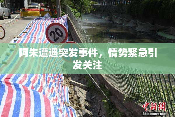 阿朱遭遇突发事件，情势紧急引发关注