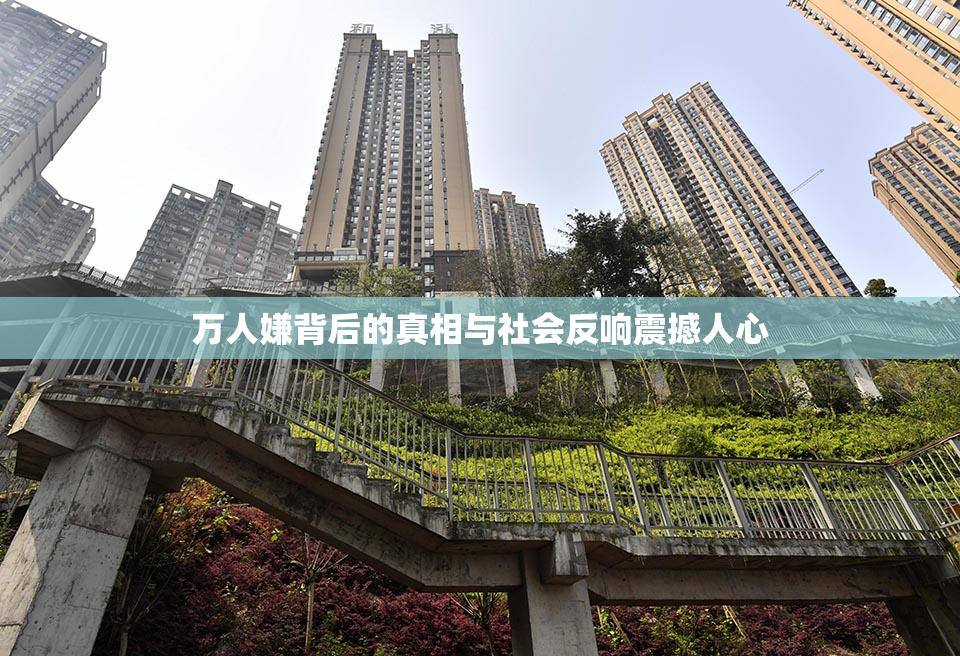 万人嫌背后的真相与社会反响震撼人心
