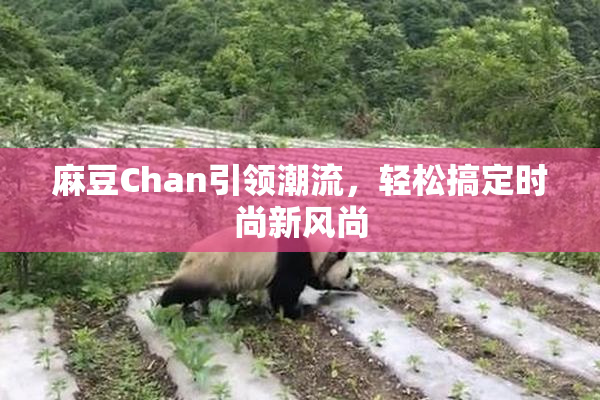 麻豆Chan引领潮流，轻松搞定时尚新风尚