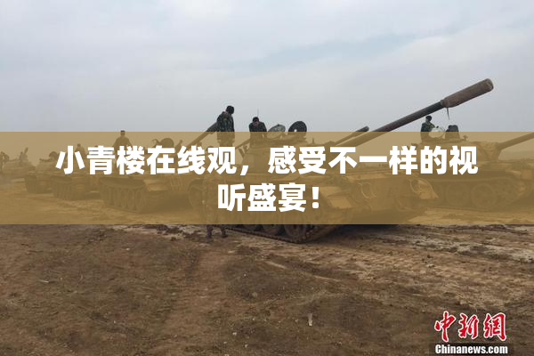 小青楼在线观，感受不一样的视听盛宴！