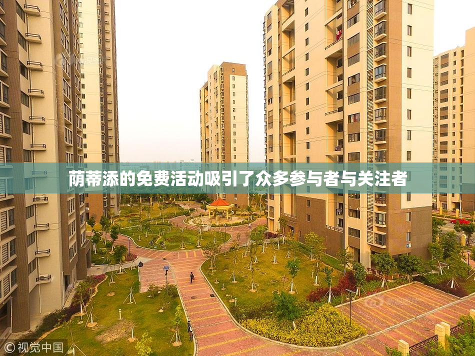 荫蒂添的免费活动吸引了众多参与者与关注者