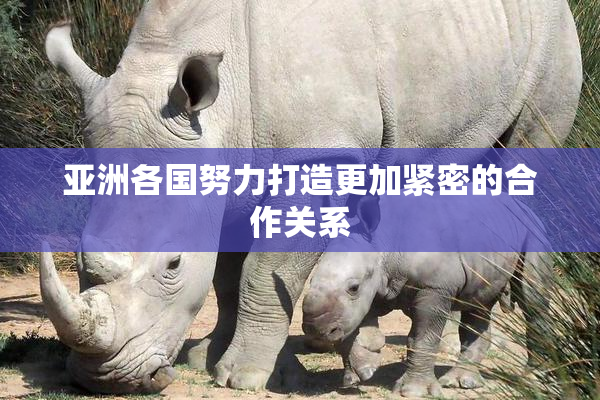 亚洲各国努力打造更加紧密的合作关系