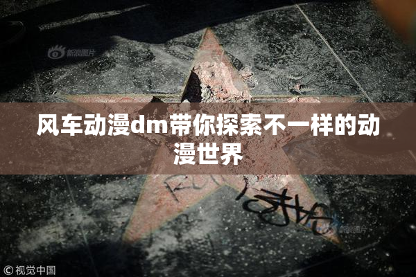 风车动漫dm带你探索不一样的动漫世界