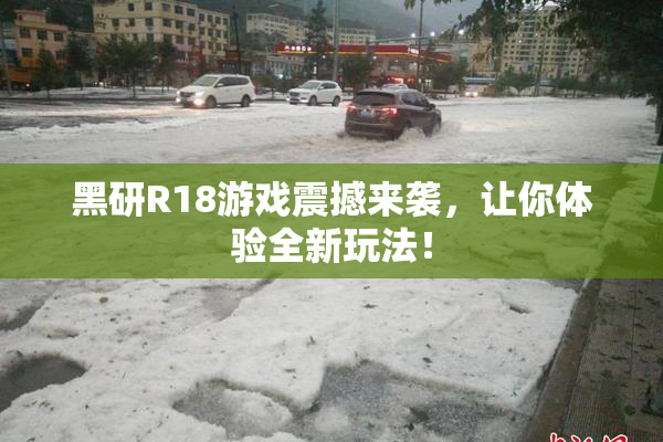 黑研R18游戏震撼来袭，让你体验全新玩法！