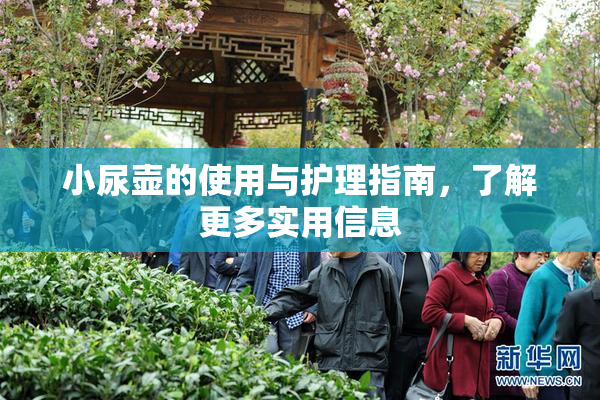 小尿壶的使用与护理指南，了解更多实用信息