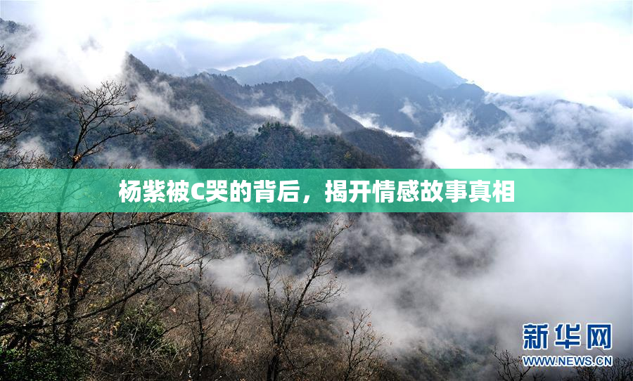 杨紫被C哭的背后，揭开情感故事真相