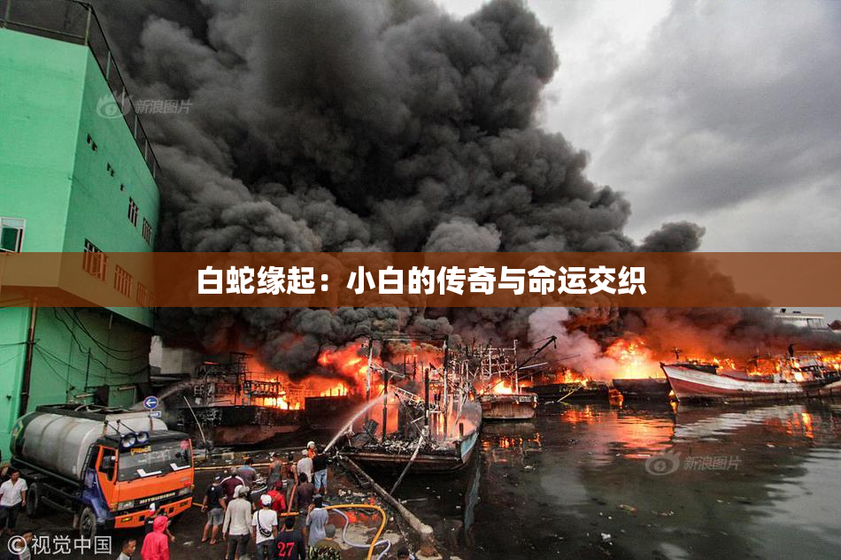 白蛇缘起：小白的传奇与命运交织