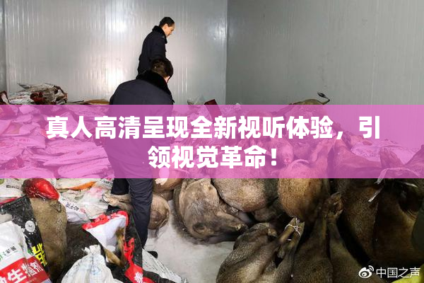 真人高清呈现全新视听体验，引领视觉革命！