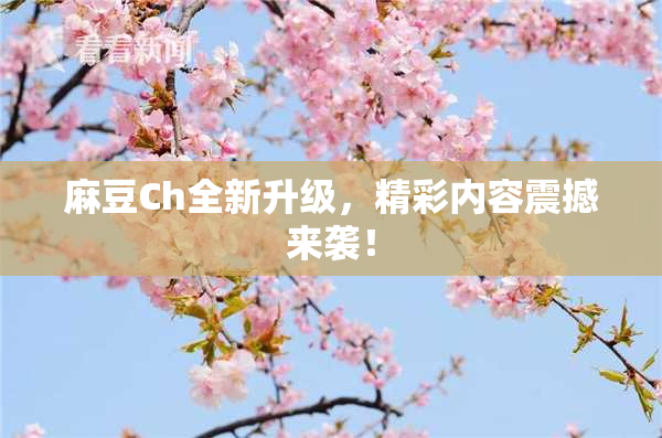 麻豆Ch全新升级，精彩内容震撼来袭！