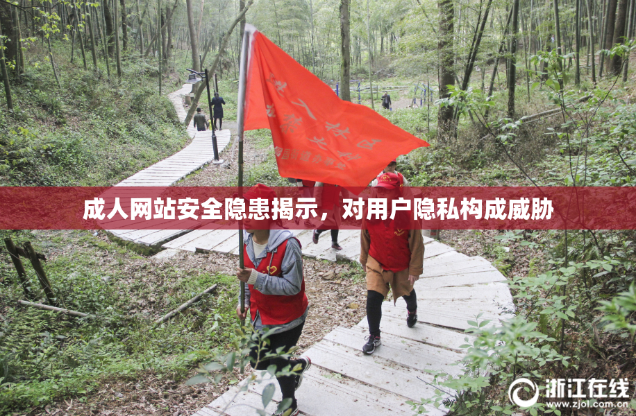 成人网站安全隐患揭示，对用户隐私构成威胁