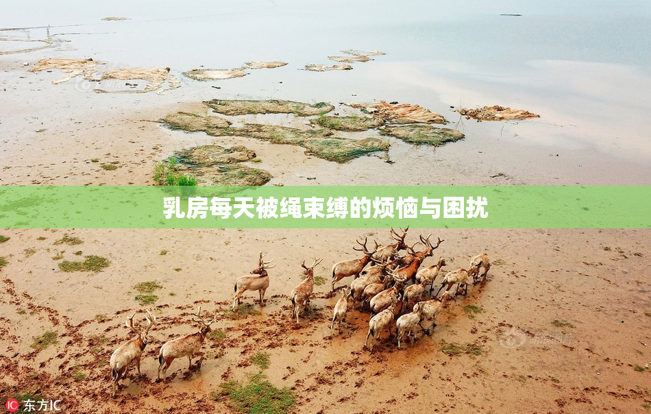 乳房每天被绳束缚的烦恼与困扰