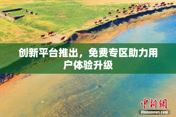 创新平台推出，免费专区助力用户体验升级