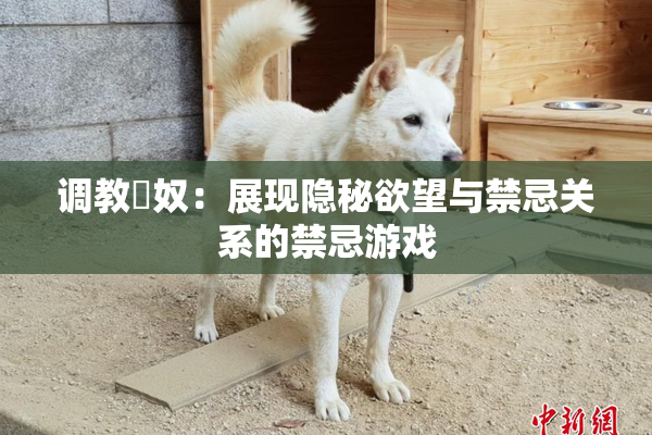 调教婬奴：展现隐秘欲望与禁忌关系的禁忌游戏