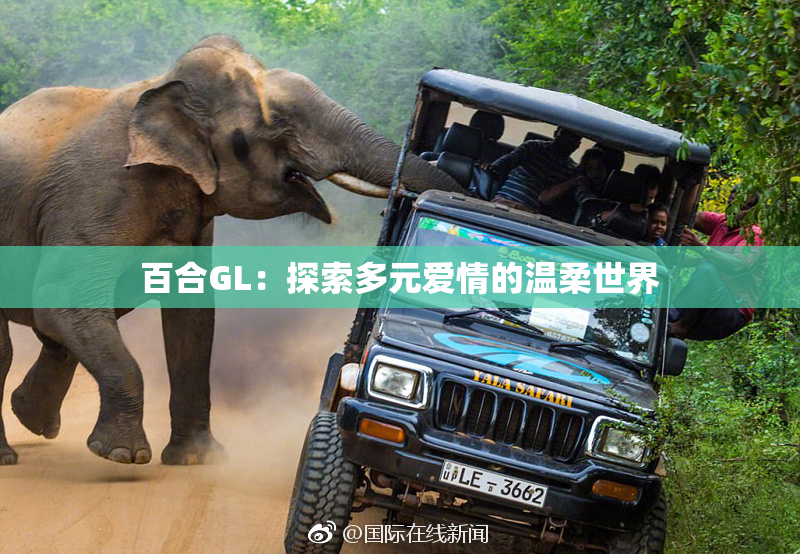 百合GL：探索多元爱情的温柔世界
