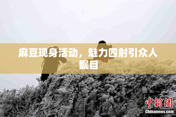 麻豆现身活动，魅力四射引众人瞩目