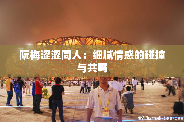 阮梅涩涩同人：细腻情感的碰撞与共鸣