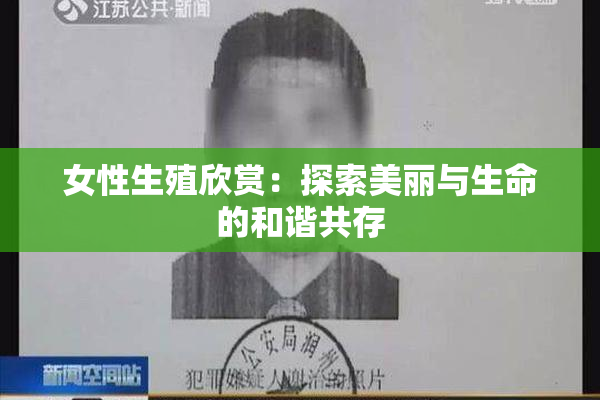 女性生殖欣赏：探索美丽与生命的和谐共存