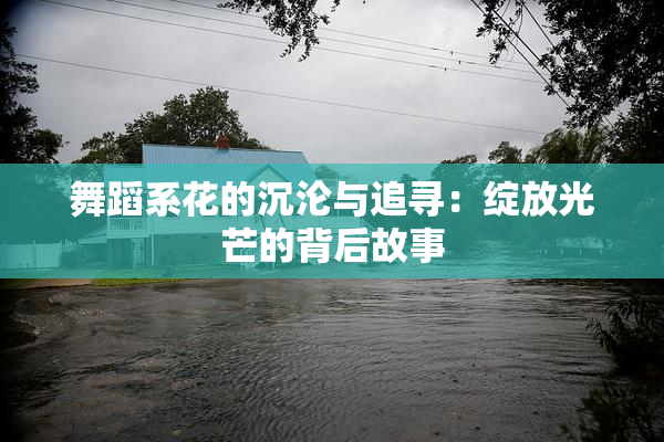 舞蹈系花的沉沦与追寻：绽放光芒的背后故事