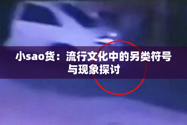 小sao货：流行文化中的另类符号与现象探讨
