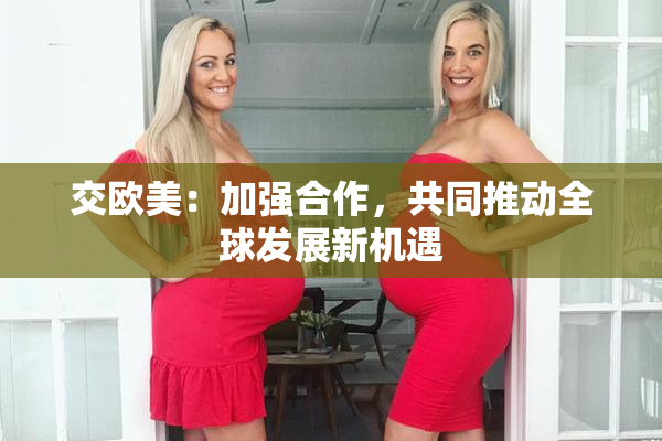交欧美：加强合作，共同推动全球发展新机遇