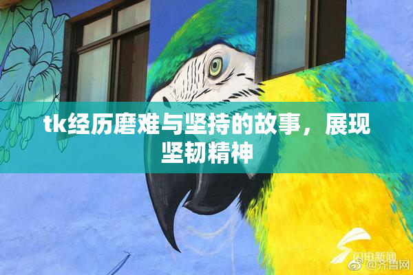 tk经历磨难与坚持的故事，展现坚韧精神