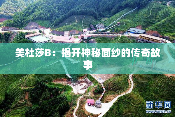 美杜莎B：揭开神秘面纱的传奇故事
