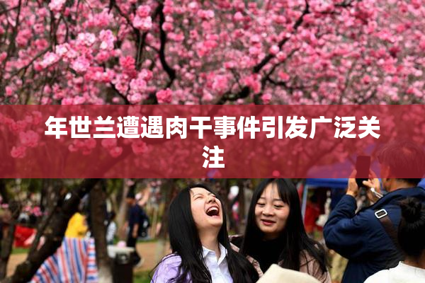 年世兰遭遇肉干事件引发广泛关注