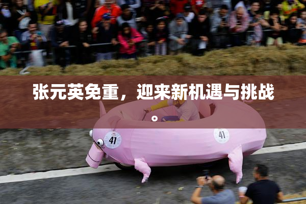 张元英免重，迎来新机遇与挑战。