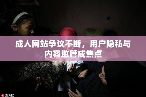 成人网站争议不断，用户隐私与内容监管成焦点