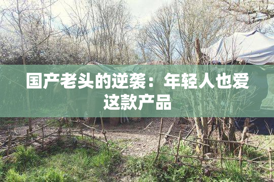 国产老头的逆袭：年轻人也爱这款产品