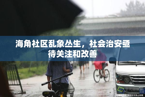 海角社区乱象丛生，社会治安亟待关注和改善