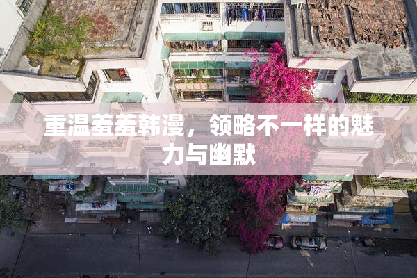 重温羞羞韩漫，领略不一样的魅力与幽默