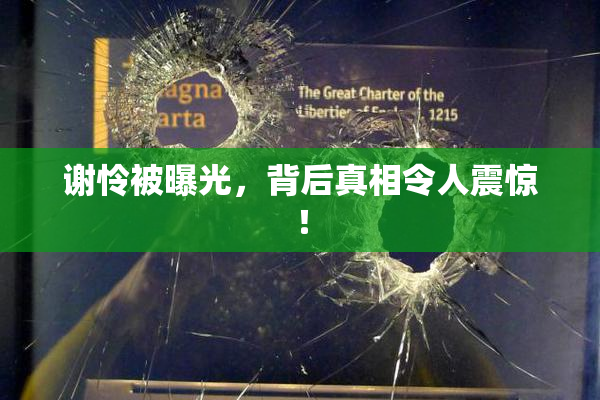 谢怜被曝光，背后真相令人震惊！