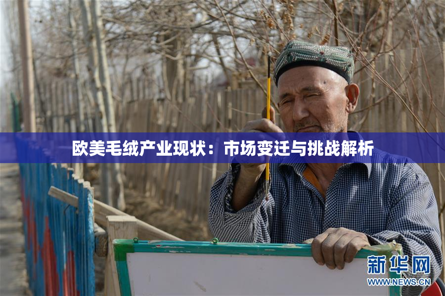 欧美毛绒产业现状：市场变迁与挑战解析