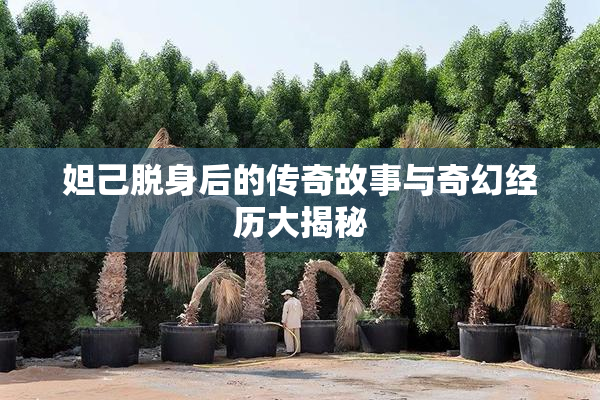 妲己脱身后的传奇故事与奇幻经历大揭秘