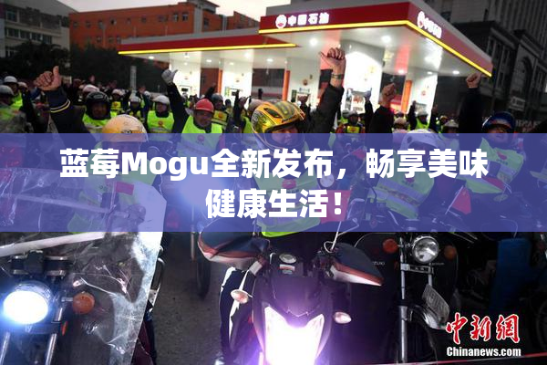 蓝莓Mogu全新发布，畅享美味健康生活！
