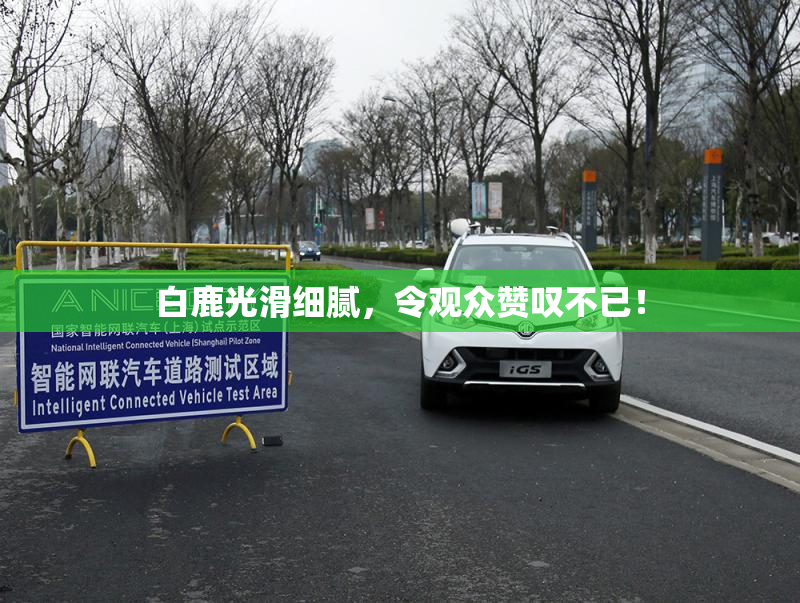 白鹿光滑细腻，令观众赞叹不已！