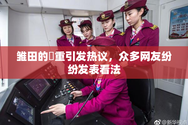 雏田的婬重引发热议，众多网友纷纷发表看法