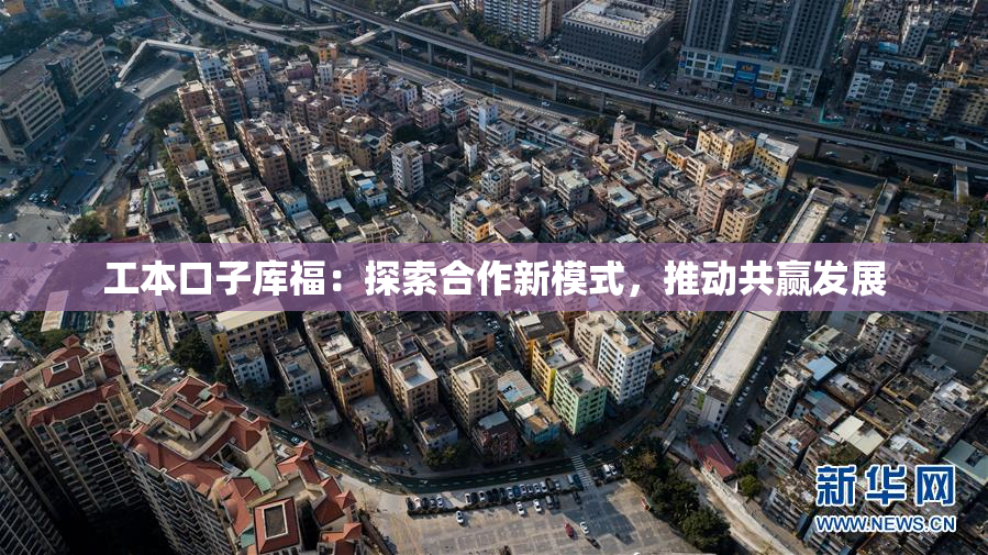 工本口子库福：探索合作新模式，推动共赢发展