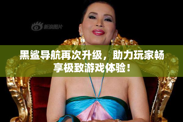 黑鲨导航再次升级，助力玩家畅享极致游戏体验！