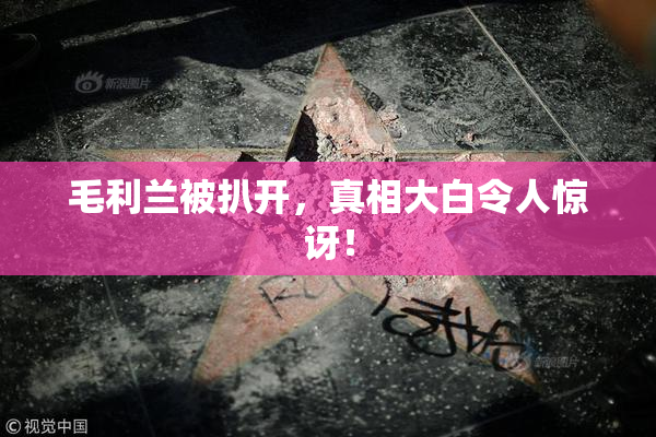 毛利兰被扒开，真相大白令人惊讶！