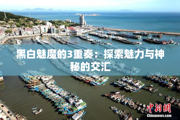 黑白魅魔的3重奏：探索魅力与神秘的交汇