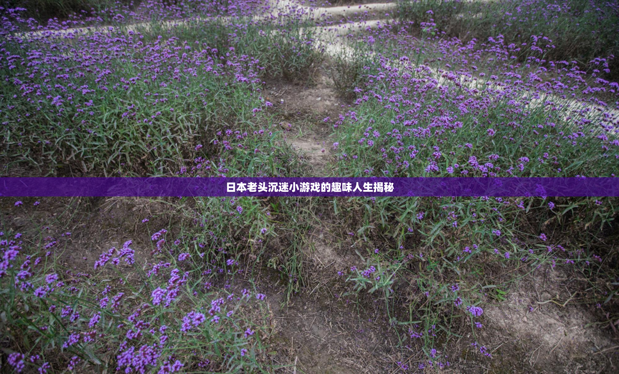 日本老头沉迷小游戏的趣味人生揭秘