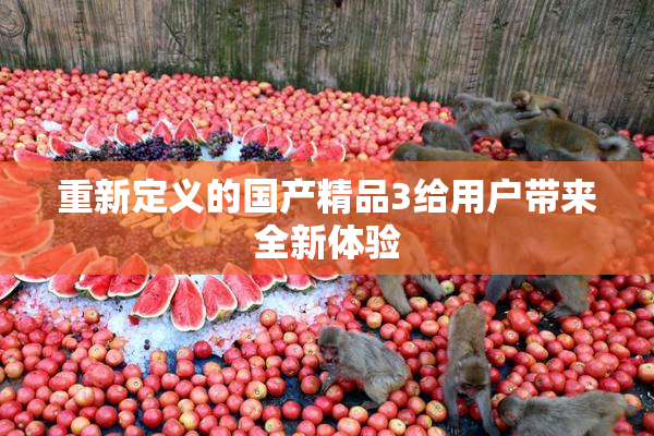 重新定义的国产精品3给用户带来全新体验