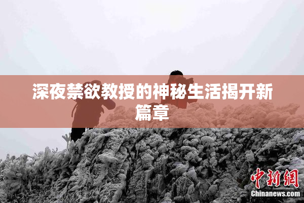 深夜禁欲教授的神秘生活揭开新篇章