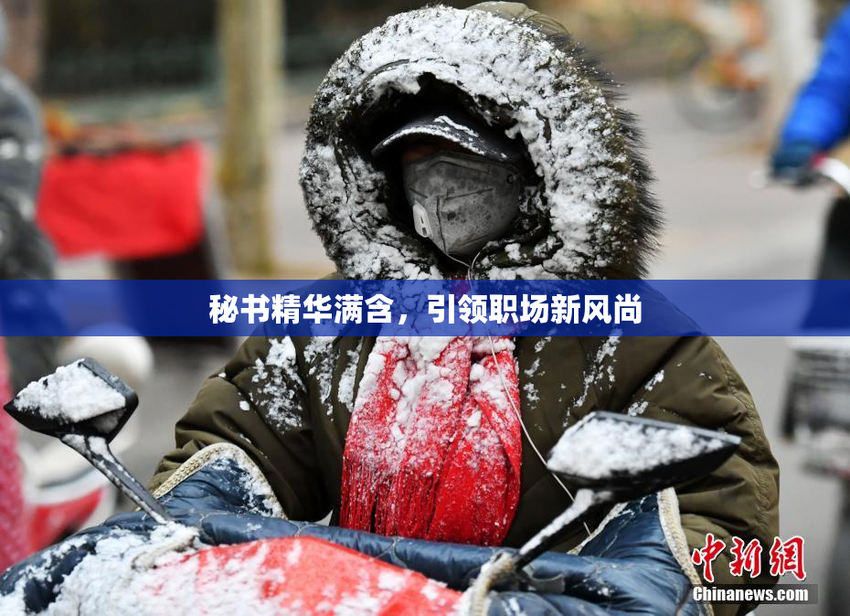 秘书精华满含，引领职场新风尚