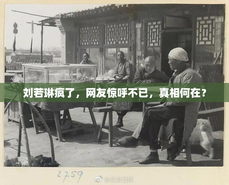 刘若琳疯了，网友惊呼不已，真相何在？